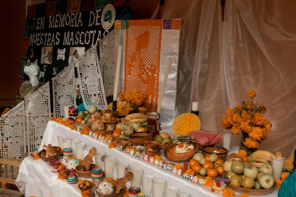 Transportar animales por paquetería en Estados Unidos